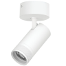 Светильник накладной LIGHTSTAR CANNO PRO C4306SO