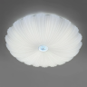 Светильник настенно-потолочный LIGHTSTAR ARCO II 225440